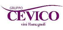 BILANCIO GRUPPO CEVICO 2010-11:  IN CRESCITA IL FATTURATO CONSOLIDATO A 102 MILIONI DI EURO